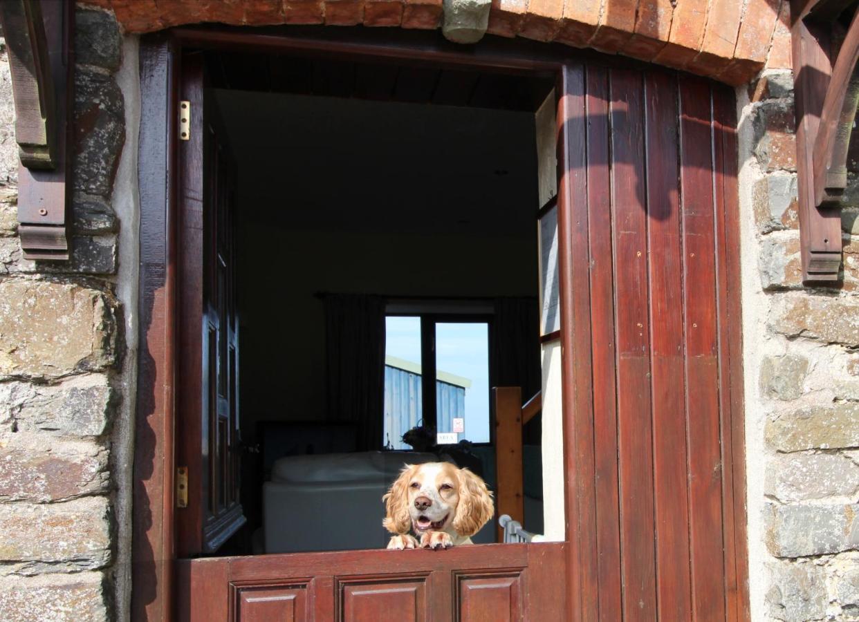 Houndapitt Cottagesバッド エクステリア 写真